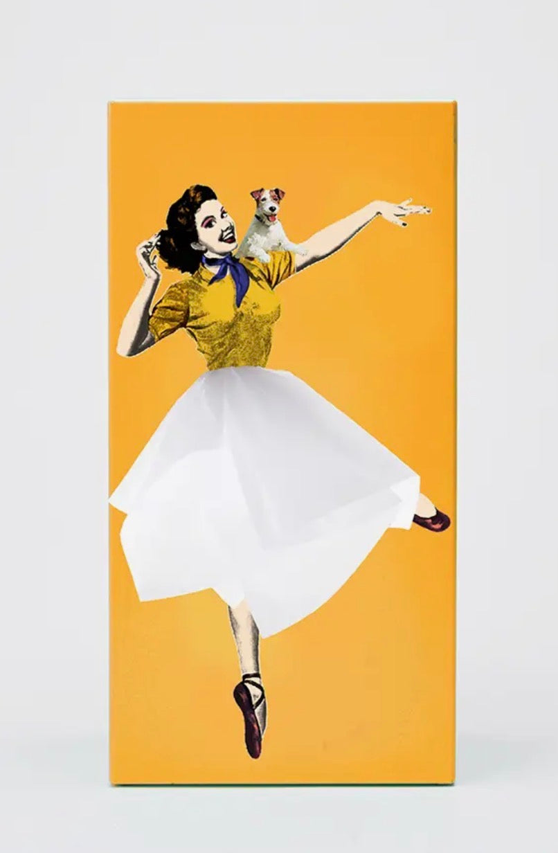 Flying Skirt Tissue Box