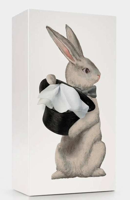 Wonder Rabbit Tissue Box