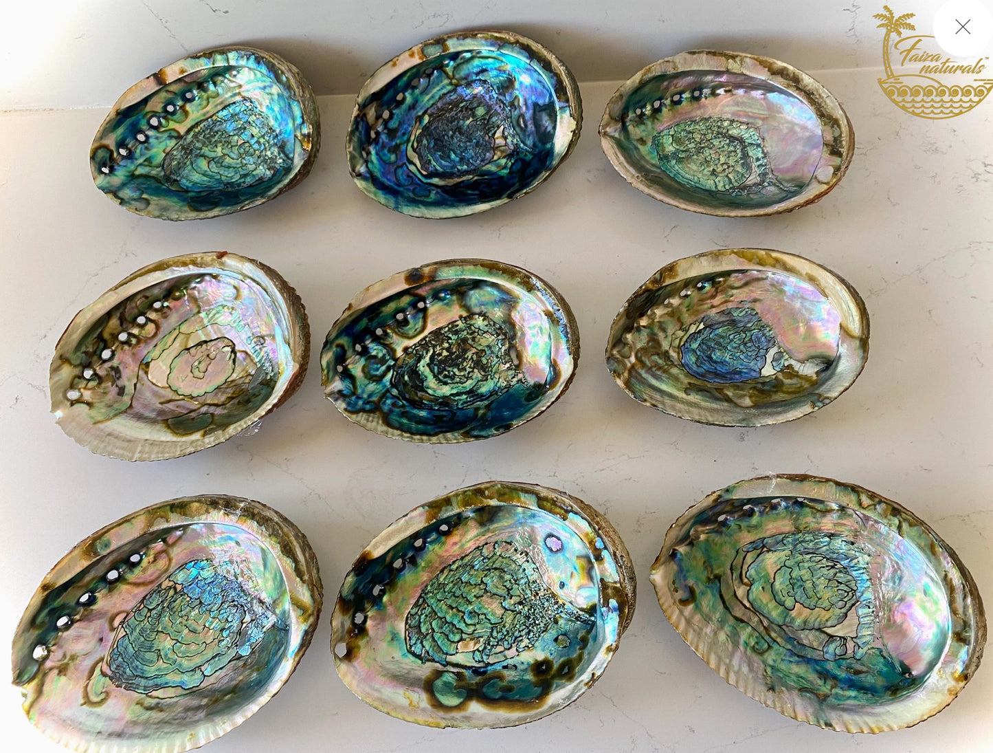 Abalone Shell Bowls (Medium) with Stand