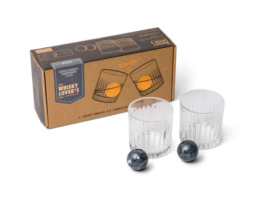 Whiskey Tumbler Glasses & Ice Stones Set